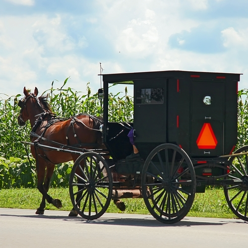 Koets in Amish Country