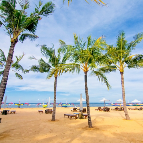 Palmbomen op het strand van Sanur