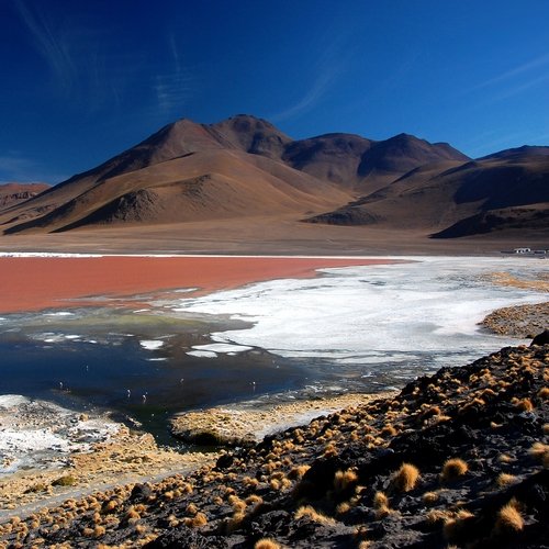 bo_al_red laguna colorada.jpg