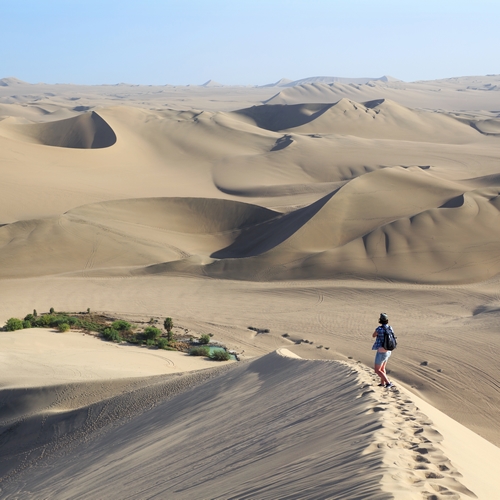 De oase van Huacachina