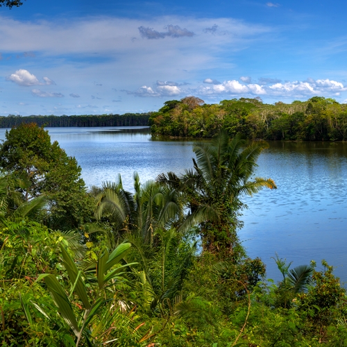 Tambopata Nationaal Reservaat