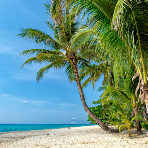 Palmbomen op het strand van Koh Chang