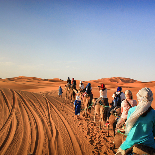 Erg Chebbi, kamelen