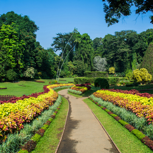 Kandy Botanische Tuinen