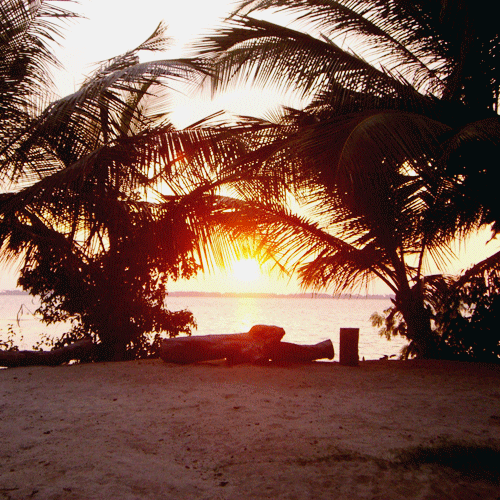 Sunset Negombo Sri Lanka