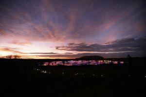 Field of Light Diner