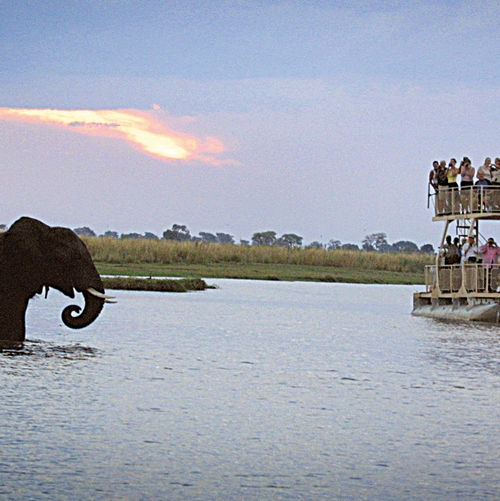 Chobe Safari Lodge, omgeving