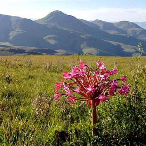 Landschap eSwatini