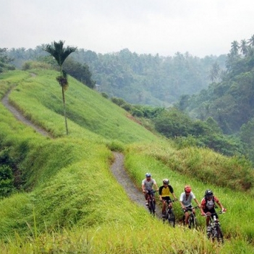 Mountainbike