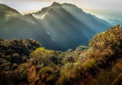 Horton plains excursie