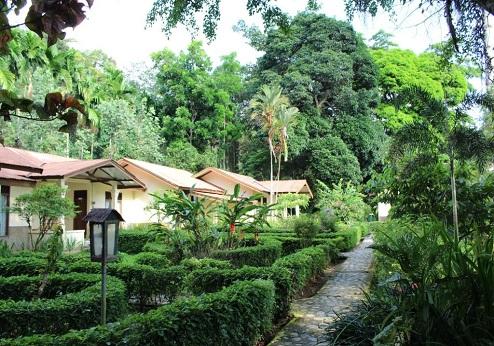 Ecolodge Bukit Lawang, tuin