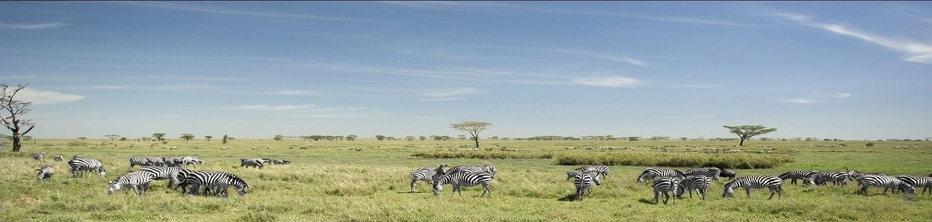 Tanzania landschap