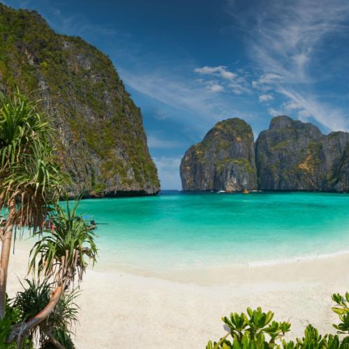 Phi Phi Island Tour