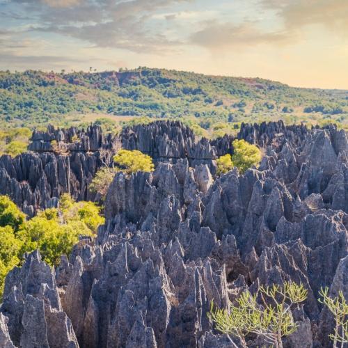 Uitzicht over Tsingy de Bemaraha Nationaal Park