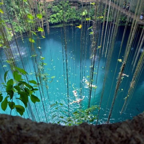 Cenote Selva Maya