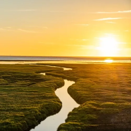 Zonsondergang bij Gaomei Wetlands