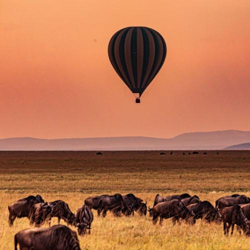 Masai Mara, Ballonvaart