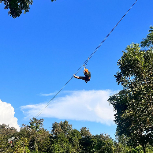 Phoenix Zipline 