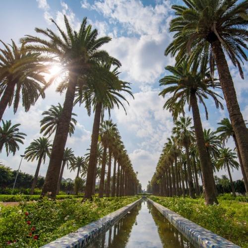 Parc de la Ligue Arabe, Casablanca