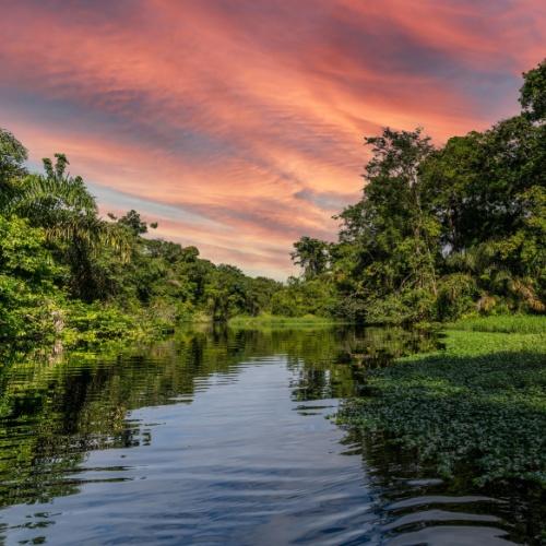 Een van vele waterwegen in Tortuguero bij zonsondergang