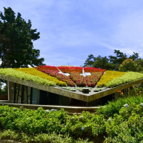 Medellín, Arví Park