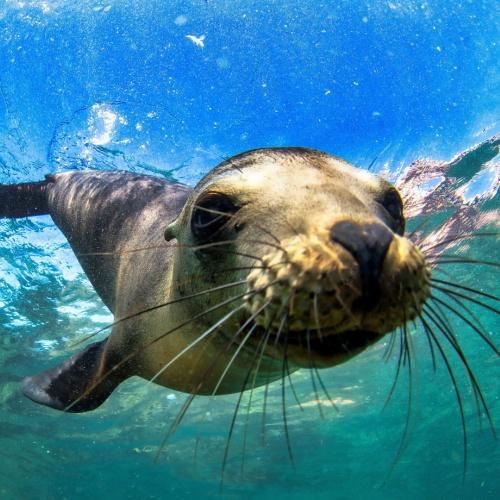 Galapagos, Ecuador