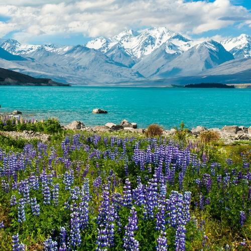 Lake Tekapo