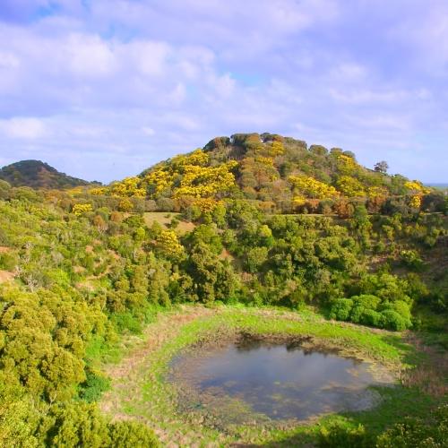 Tower Hill Wildlife Reserve