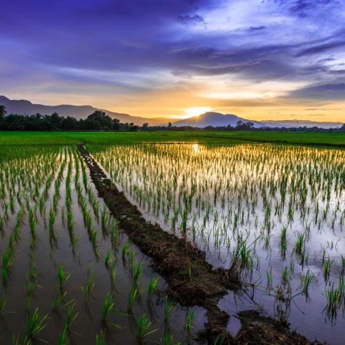 Het platteland van Chiang Mai