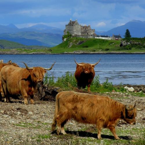 Isle of Mull Duart Castle