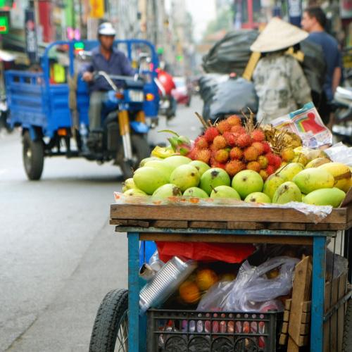 Ho Chi Minh City