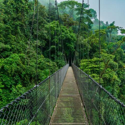 Hangbruggen in Arenal