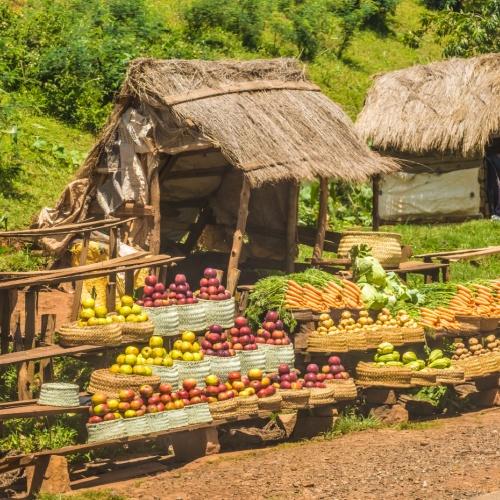 Groente- en fruitmarkt in Antsirabe