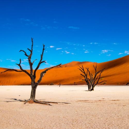 Rode zandduinen in de Sossusvlei