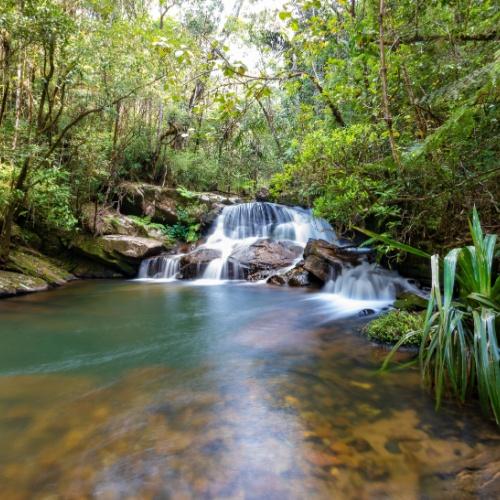 Waterval in Andasibe Nationaal Park