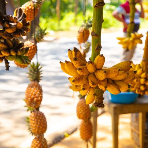 Sri Lankaans fruit