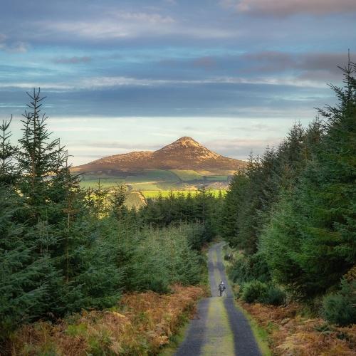 Wicklow Mountains Nationaal Park