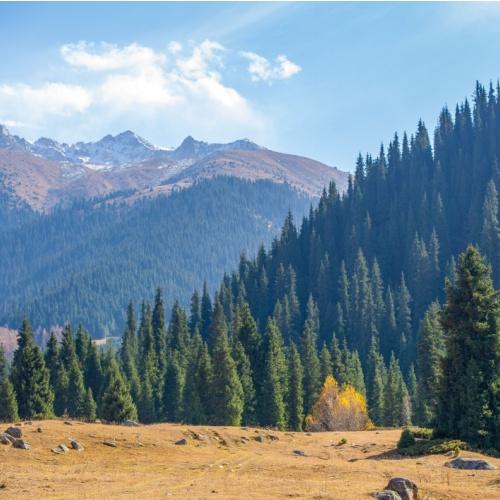 Het Tien Shan gebergte 