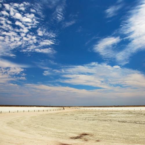 De Etosha Pan