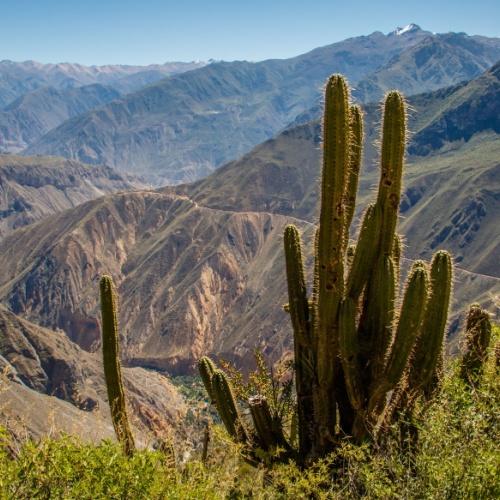 Colca Canyon