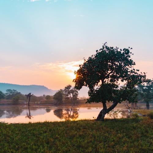 Zonsondergangssafari in Ranthambore Park