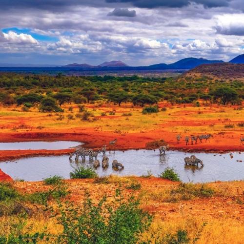 Tsavo West, omgeving