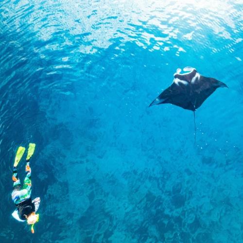 Snorkelen bij Nusa Penida