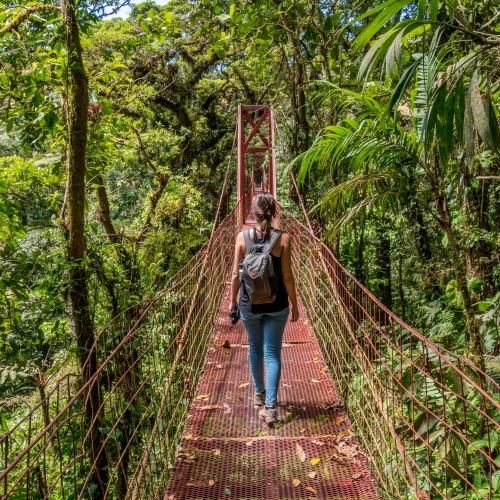 Hangbrug in Monteverde