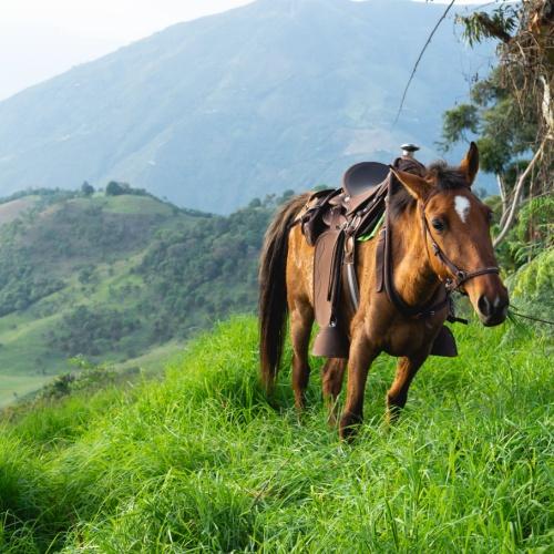 Colombia, tocht in de bergen