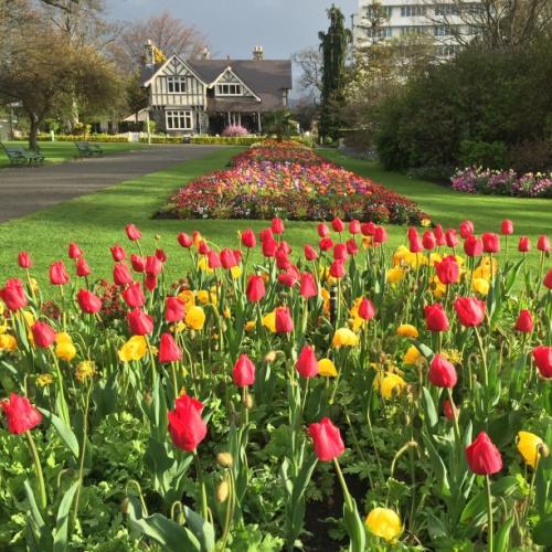 De botanische tuinen van Christchurch