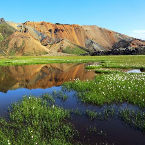 Landmannalaugar in de zomer