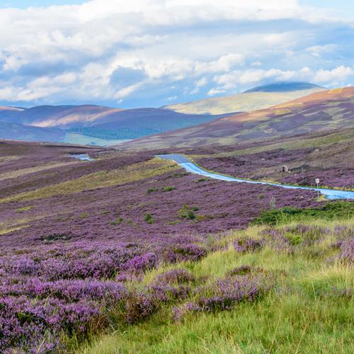 Schotland Cairngorm National Park