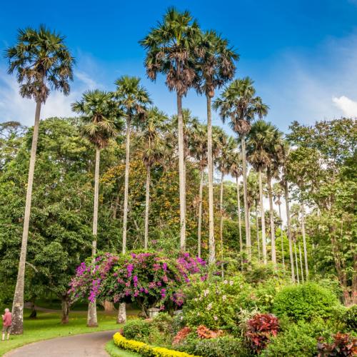 Botanische tuinen van Kandy