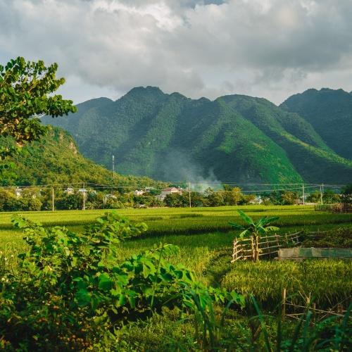 Mai Chau